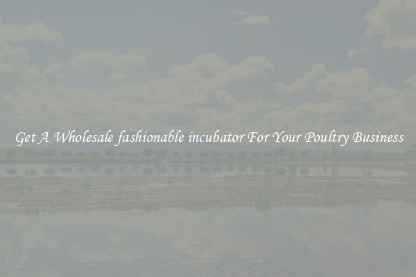 Get A Wholesale fashionable incubator For Your Poultry Business