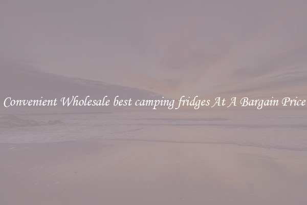 Convenient Wholesale best camping fridges At A Bargain Price