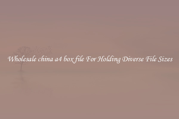 Wholesale china a4 box file For Holding Diverse File Sizes