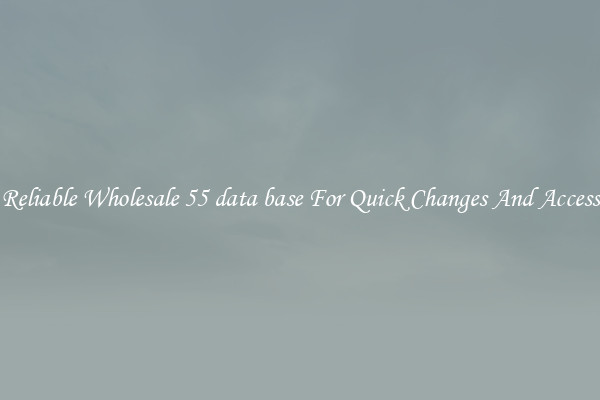 Reliable Wholesale 55 data base For Quick Changes And Access