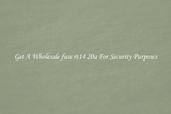 Get A Wholesale fuse rt14 20a For Security Purposes
