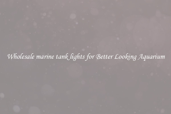 Wholesale marine tank lights for Better Looking Aquarium