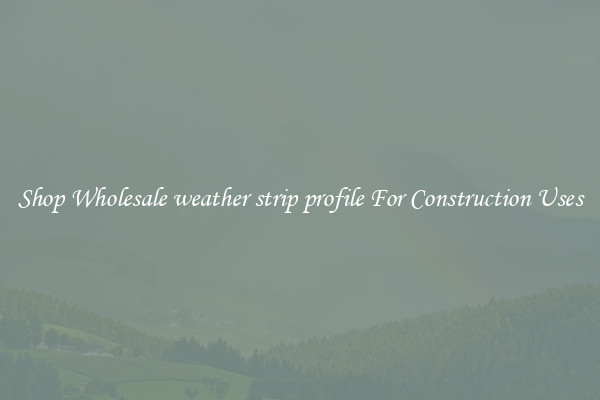 Shop Wholesale weather strip profile For Construction Uses