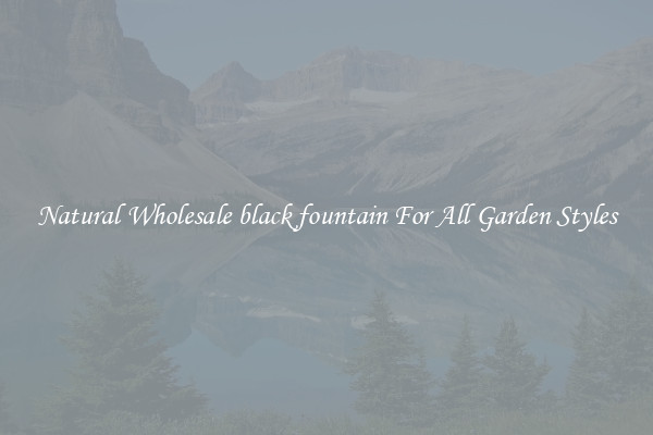 Natural Wholesale black fountain For All Garden Styles