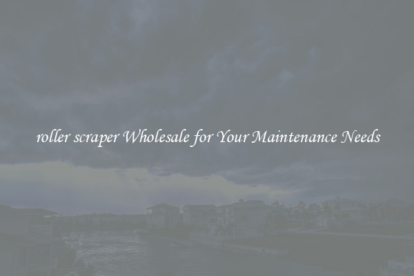 roller scraper Wholesale for Your Maintenance Needs