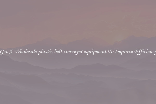 Get A Wholesale plastic belt conveyer equipment To Improve Efficiency